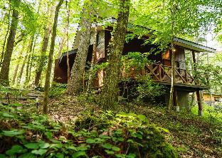 KINGKA loghouse (Mount Fuji)(Kawaguchiko)narusawa