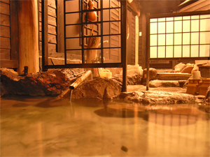 Kamioka Onsen Hozanso
