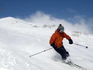 Hotel Niseko Alpen
