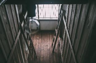 Nari - nuttari NARI -