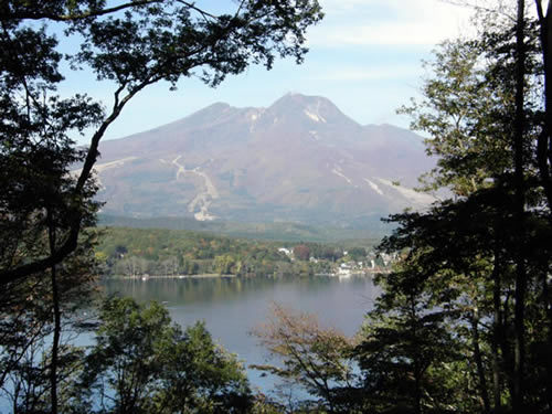 Kokumin Shukusha Sugikubo House