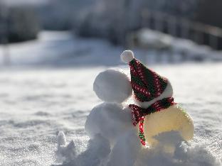 Echigo-Yuzawa Japanese-style room&Hot spring 311