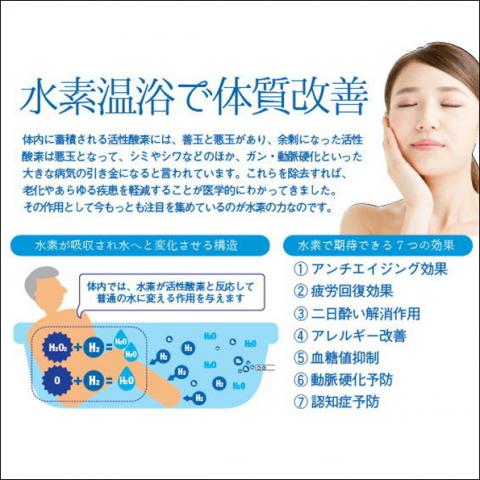 Tanigawa Onsen Yado Kanzan(Hydro bath & Gourmet)