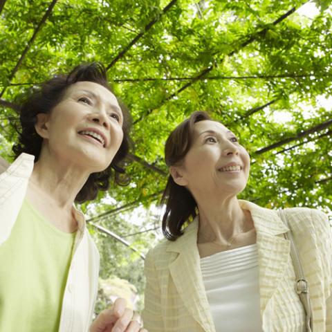 Pension Yama no Wagaya