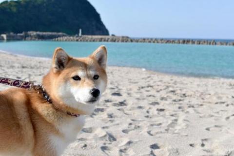 Welcome Inn Sunny Step