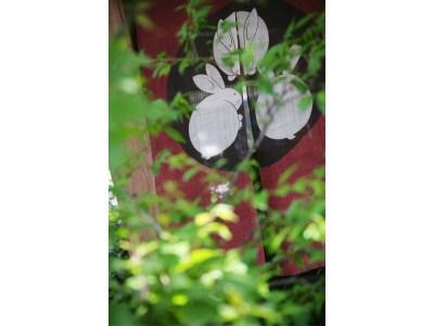 Hatagonokokoro Hashimotoya