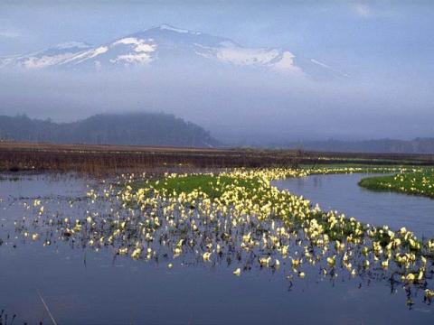 Yunokoya Onsen Teruhaso