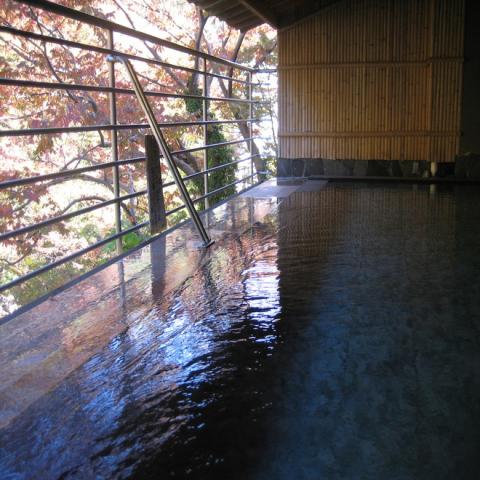 Seseragi no Yado Minakami Onsen Hotel Ichiyoutei