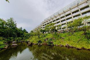 Ooedo Onsen Monogatari Nikkokirifuri