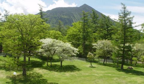 Kotoku Onsen Nikko Astoria Hotel