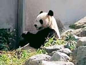 Shirahama Onsen National Lodging Hotel Shirahama