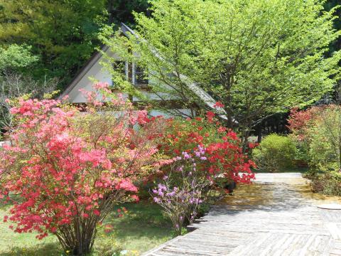 Nikko Log Cottage Little Bears