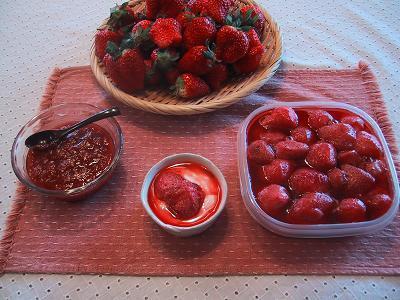 Pension Shiroi Kumo Aoi Sora