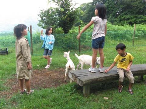 Morinoyado Rinrin Kan