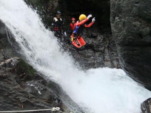 Log Pension Woody Heart