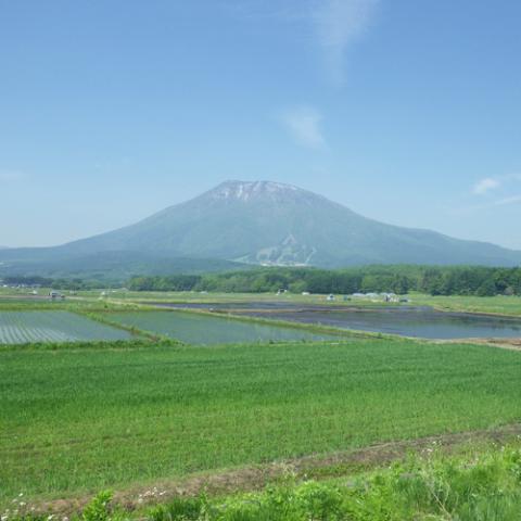 Kohan no Yado Fujiya Ryokan